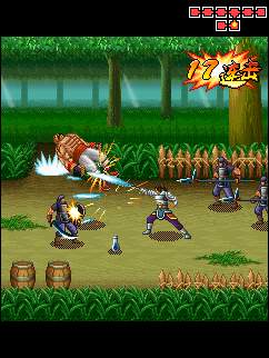 武将无双之三国赵云